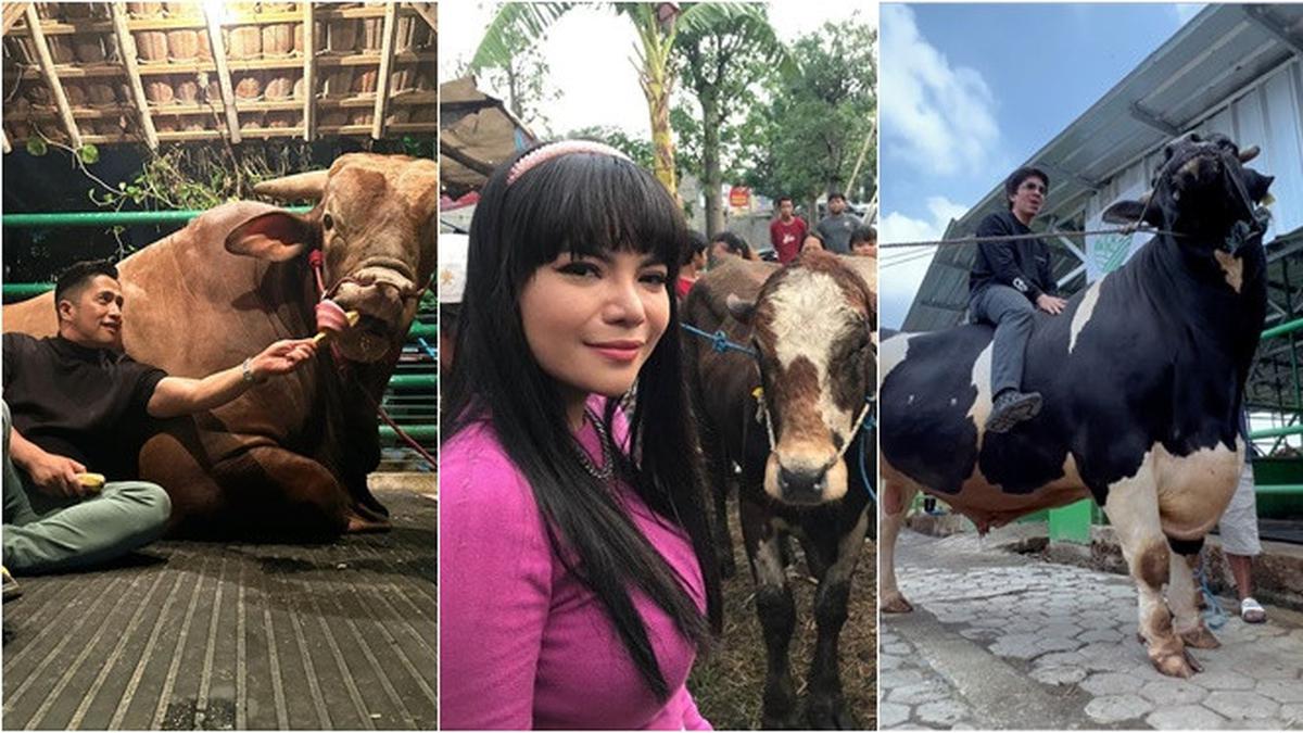 Potret Artis Bareng Hewan Kurbannya Ada Kambing Hingga Sapi Jumbo Hot Liputan