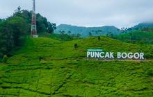 20 Wisata Puncak Bogor yang Populer dan Menarik, Jangan Sampai Terlewat