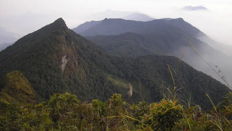 Gunung Halau-halau merupakan puncak tertinggi di Kalimantan Selatan. Gunung ini mempunyai ketinggian 1901 mdpl.