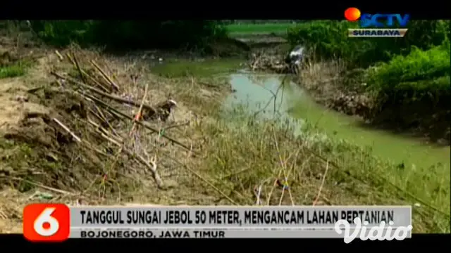 VIDEO: Tanggul Sungai di Mojokerto Jebol Ancam Ratusan Rumah Warga