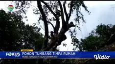 Fokus Pagi edisi (09/02) mengangkat beberapa topik pilihan sebagai berikut, Empat Bangunan Ruko Terbakar, Puluhan Rumah Rusak Diterjang Angin Kencang, Gempa Turki, Dua WNI Meninggal Dunia, Aksi Klitih Remaja Bersenjata Tajam.