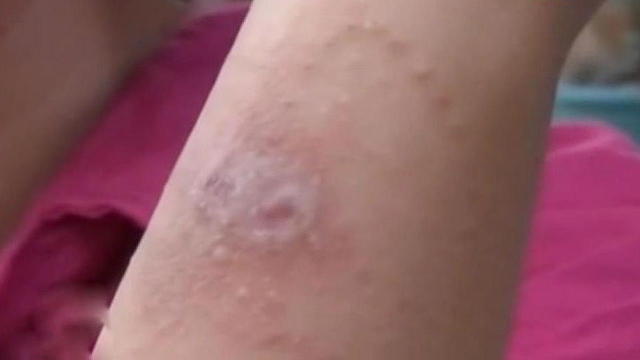 20150816-Tomcat-Bali