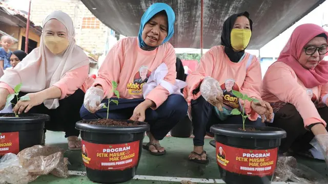 Puluhan emak-emak bersama Relawan Mak Ganjar menanam ratusan bibit pohon cabai di Pengadegan, Jakarta Selatan, Kamis (23/2/23) (Istimewa)