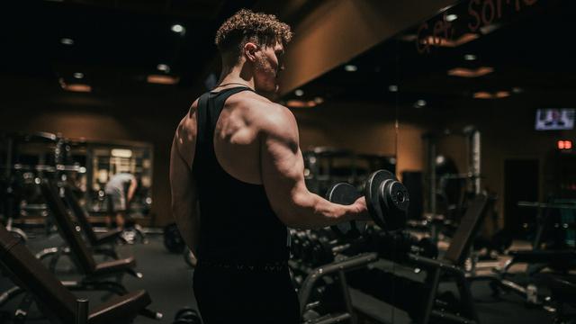 Muscle