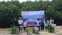 Hari Mangrove Sedunia, 2.500 Bibit Ditanam di Pulau Pramuka