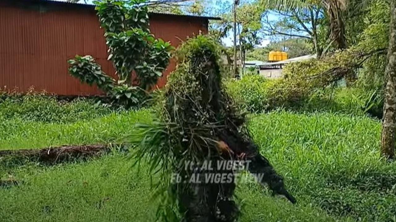 Sniper TNI Ini Mengecoh Rekan Sendiri dalam Latihan: Kami Tidak Terlihat, Tapi Mematikan