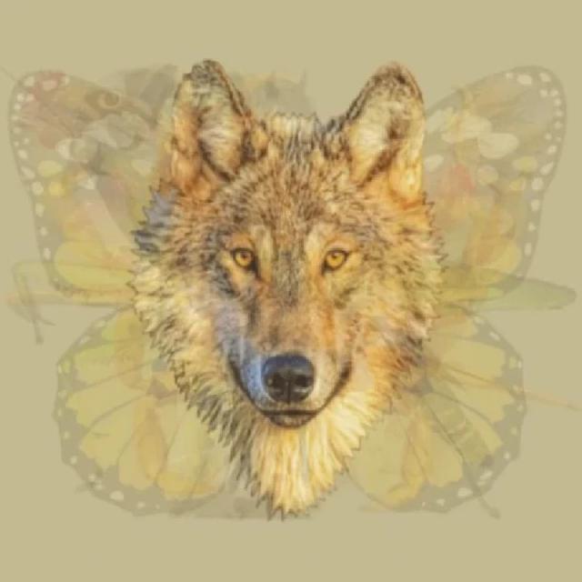 Hewan Pertama yang Dilihat Ungkap Sifat Dominan Kamu