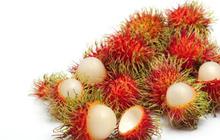 Bocah 5 tahun tewas gara-gara tersedak biji rambutan