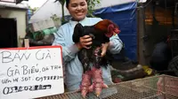 Seorang wanita memegang ayam Dong Tao untuk dijual di rumahnya di Provinsi Hung Yen, Vietnam, 10 Januari 2023. Jenis ayam endemik ini bisa kamu temukan di wilayah Khoai Chau atau sekitar 30 kilometer dari Hanoi, Vietnam. (Nhac NGUYEN/AFP)