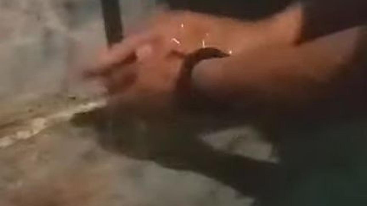 Cuci Kentang dengan Kawat Pencuci