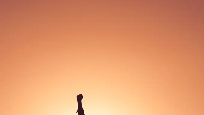 survei kekerasan perempuan