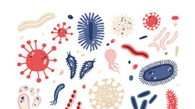 10 Bakteri yang Terdapat Pada Uang, Harus Diwaspadai