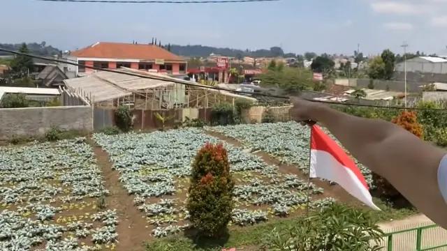 7 Potret Rumah Ade Rai di Bandung, Nyaman dan Kental Nuansa Bali