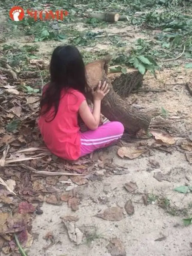 [Bintang]  Ingin Melindungi Pohon yang Sedang Ditebang, Bocah Ini Nangis Sambil Memeluk Pohonnya