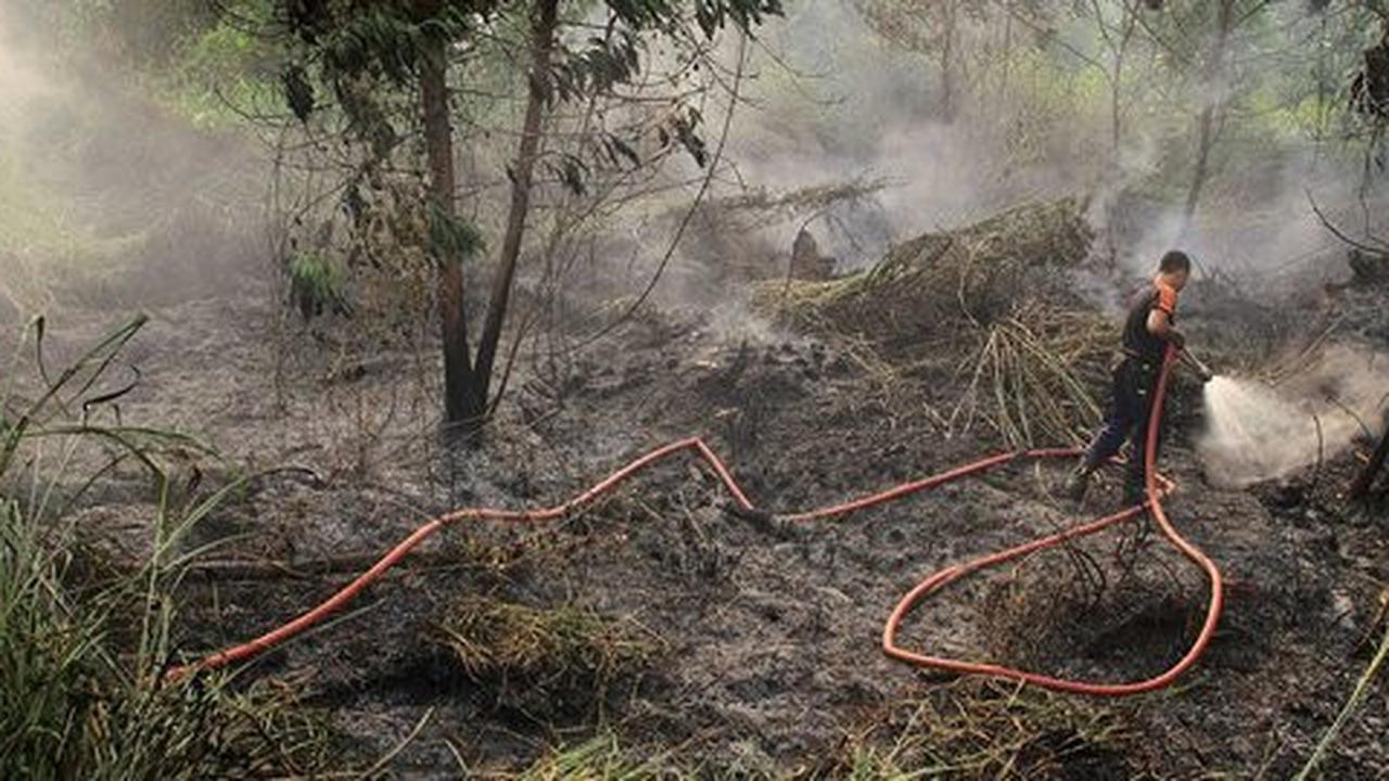 5 Daerah di Sumatera Selatan ini dijuluki lumbung kebakaran hutan