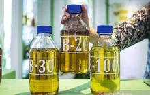 Angka Fantastis! Konsumsi Biodiesel Domestik RI Diproyeksi Capai 15,6 Juta Kiloliter pada 2025