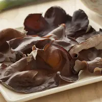 ilustrasi jamur kuping (Sumber: iStockphoto)