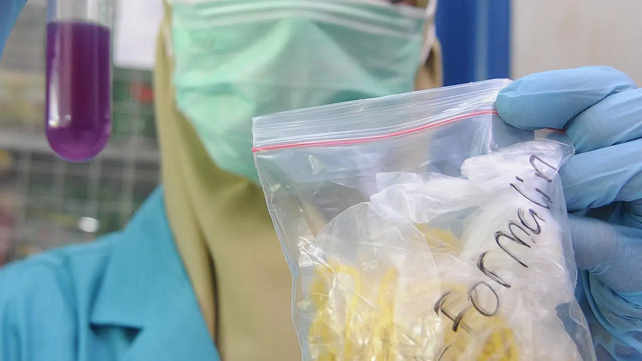 Sidak Uji Formalin