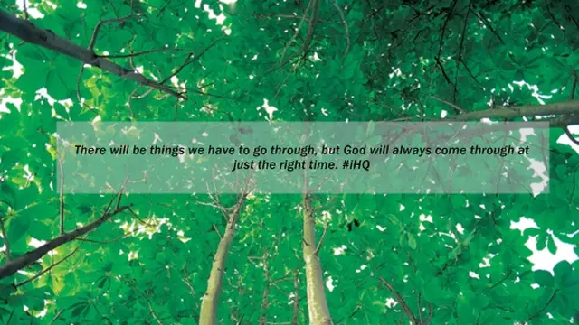 Foto: copyright ThinkStockPhotos.com