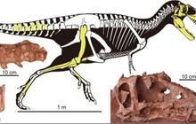 Ilmuwan Temukan Spesies Baru Dinosaurus yang Hidup 72 Juta Tahun Lalu, Panjangnya Sampai 4 Meter