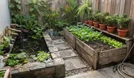6 Desain Pekarangan Rumah Sempit dengan Kolam Ikan dan Kebun Sayur Mini, Hemat Tempat dan Produktif