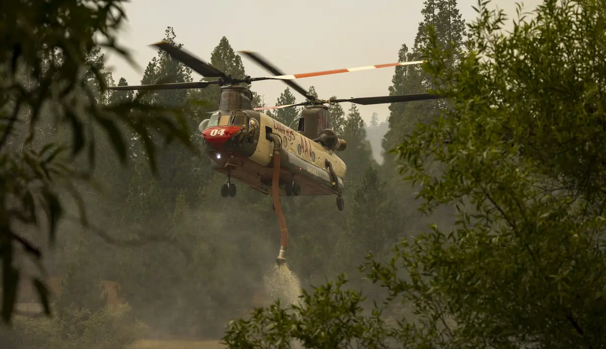 Helikopter Billings 4AJ mengisi ulang air untuk dijatuhkan ke Oak Fire dekat Mariposa, California, Amerika Serikat, 26 Juli 2022. Api membakar sebelah barat Taman Nasional Yosemite. (DAVID MCNEW/AFP)