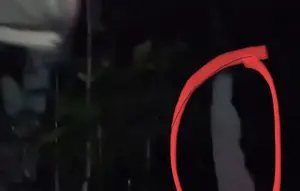 Geger Penampakan Diduga Pocong di Sukabumi, Begini Faktanya