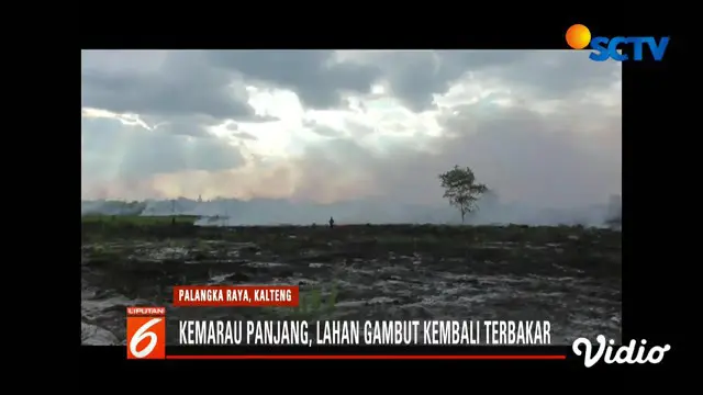 Lahan Gambut di Palangka Raya Kembali Terbakar, Warga Panik