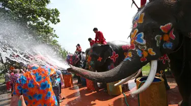 Sejumlah gajah menyemprotkan air kepada wisatawan saat perayaan tahun baru kuno Thailand atau Songkran di provinsi Ayutthaya, Thailand (11/4). Dalam perayaan ini peserta saling serang menggunakan air. (AP Photo/Sakchai Lalit)