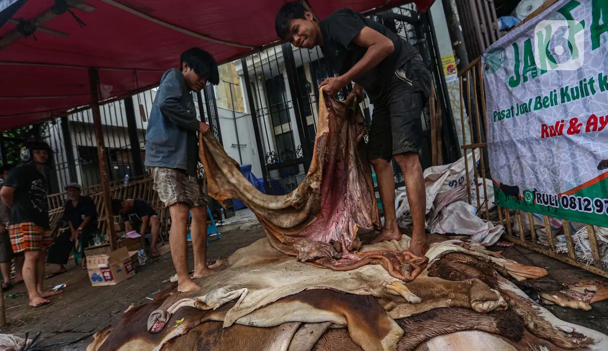 Untuk kulit hewan kurban sapi, pihak pengepul memberi harga Rp4.000 hingga Rp5.000 per kilo. (Liputan6.com/Angga Yuniar)