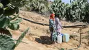 Seperti negara tetangganya, Aljazair, dan sebagian besar wilayah Mediterania, Tunisia mengalami "kondisi kekeringan yang mengkhawatirkan", menurut European Drought Observatory. (FETHI BELAID / AFP)