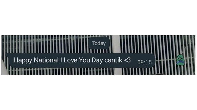 6 Chat Happy National I Love You Day dari Pacar Ini Bikin Baper