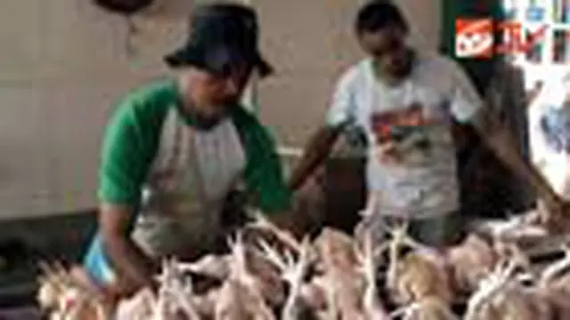 Harga Daging Ayam Naik 100 Persen
