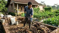 Cara Memanfaatkan Kotoran Ternak untuk Kebun Sayur Organik, Praktis Ramah Lingkungan
