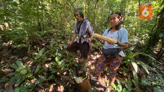 Suku Rimba Terakhir di Pulau Kalimantan
