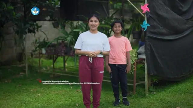 Mengenal Panel Surya