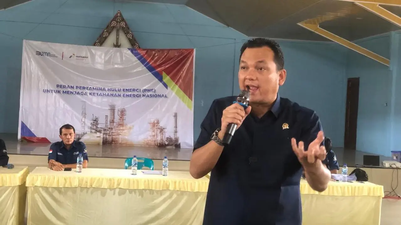 Wakil Ketua Komisi VI DPR RI Martin Manurung (Istimewa)
