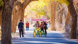 Para wisatawan menikmati pemandangan musim gugur di hutan poplar gurun (populus euphratica) di Wilayah Ejin, Daerah Otonom Mongolia Dalam, China utara, pada 18 Oktober 2020. (Xinhua/Lian Zhen)
