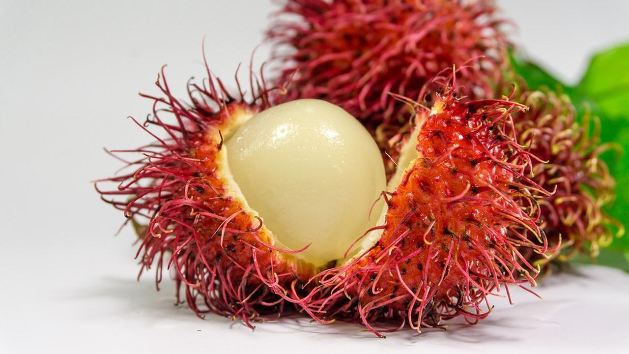 Ilustrasi rambutan.