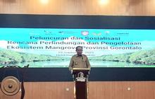 Gubernur Gorontalo Targetkan Luas Ekosistem Mangrove Lebih dari Tambak Ikan: Apa Pentingnya?