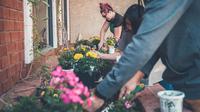 Ilustrasi berkebun. (Sumber: Unsplash/Neonbrand)