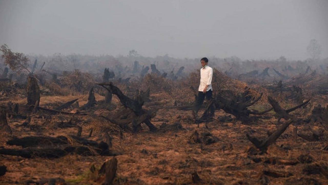 Aksi Jokowi tinjau langsung kebakaran hutan di Kalimantan