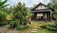 7 Jenis Pohon Buah yang Cocok untuk Rumah Bergaya Jepang, Mudah Dirawat di Indonesia