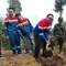 Pertamina Geothermal Energi (PGE) Area Karaha, Tasik, Jawa Barat, mulai menggalakan reboisasi hutan gundul yang multifungsi, dengan menggunakan tanaman Multy Purpose Tree Species (MPTS). (Liputan6.com/Jayadi Supriadin)