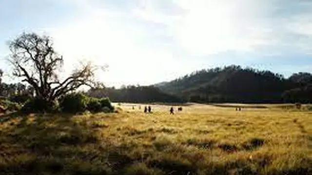 Sejarah Kelam Lembah Cikasur