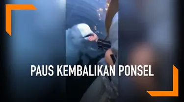 Seorang turis dibuat takjub dengan aksi paus beluga atau paus putih yang mengembalikan ponselnya yang telah jatuh ke laut. Meski ponselnya rusak karena pengaruh air laut, namun turis tersebut tetap bersyukur ponselnya kembali.