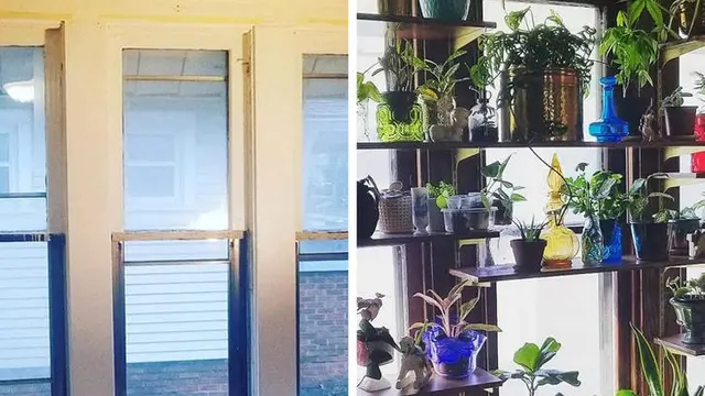 7 Potret Sebelum Vs Sesudah Rumah Dihiasi Tanaman, Suasana Makin Hidup