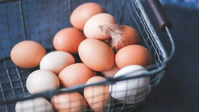 Diet protein/copyright Pixabay.com