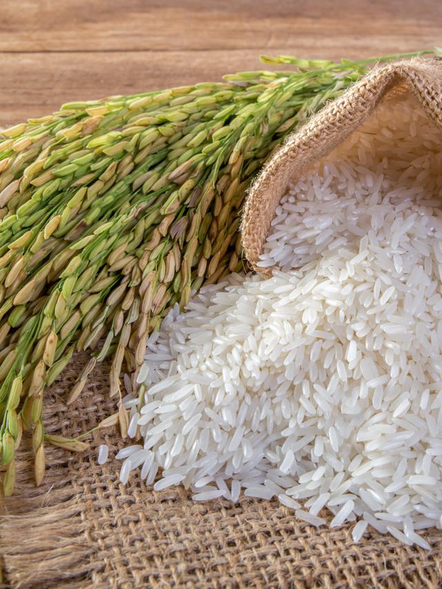 Warga Madiun Disarankan Ganti Nasi dengan Porang