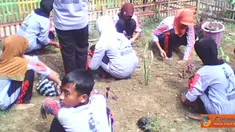 Citizen6, Sumenep: Siswa SMPN 1 Guluk-guluk, Sumenep, Madura, sedang menanam pepohonan di area sekolah, Jumat (25/3). (Pengirim: Suhairi Rachmad)